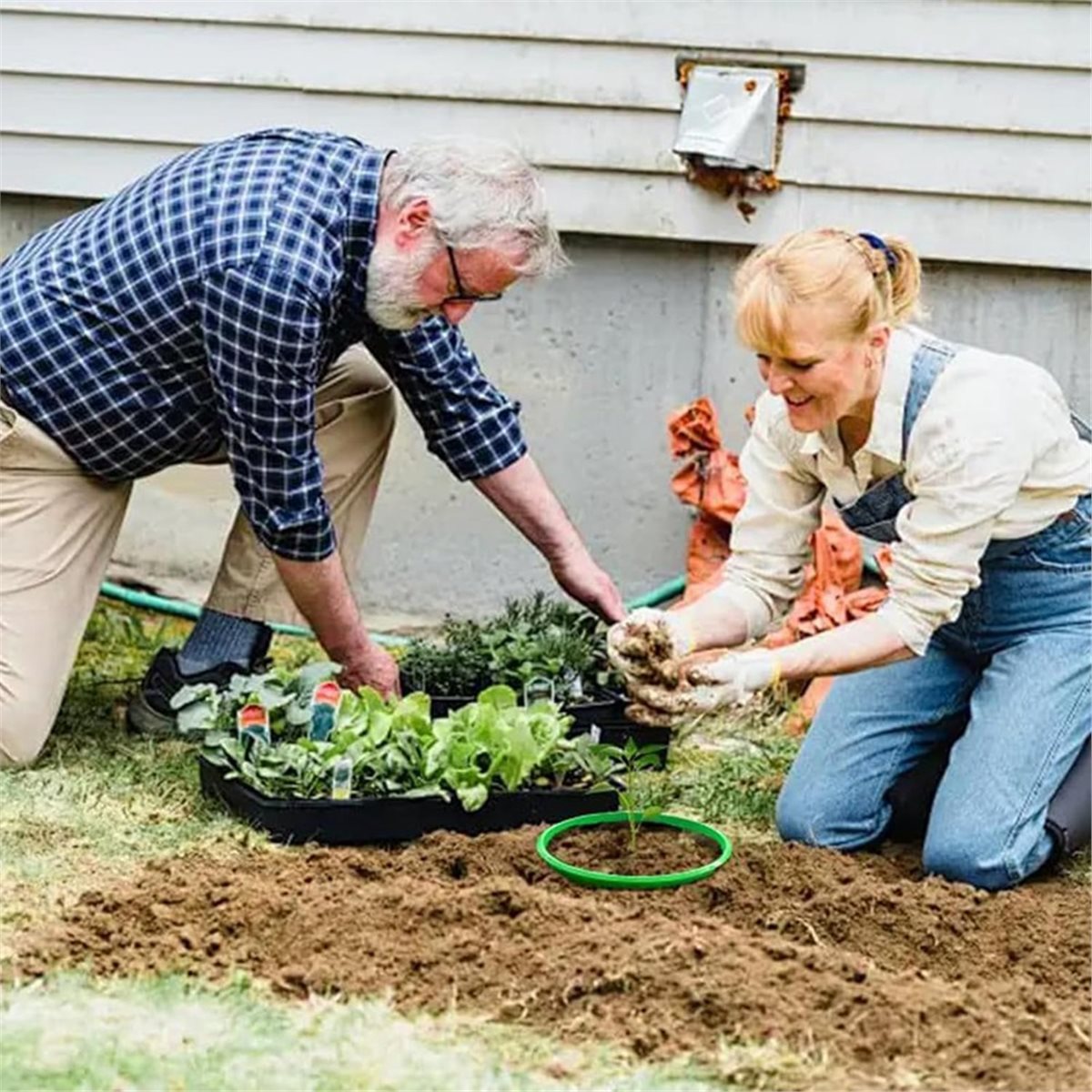 Gardening Tools Big - Großer Rabatt: 4 Pflanzenschutzringe für Wurzelbewässerung