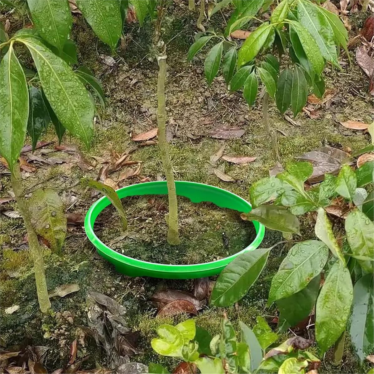 Großer Rabatt: 4 Pflanzenschut – Gardening Tools Big Bewertung und Preis