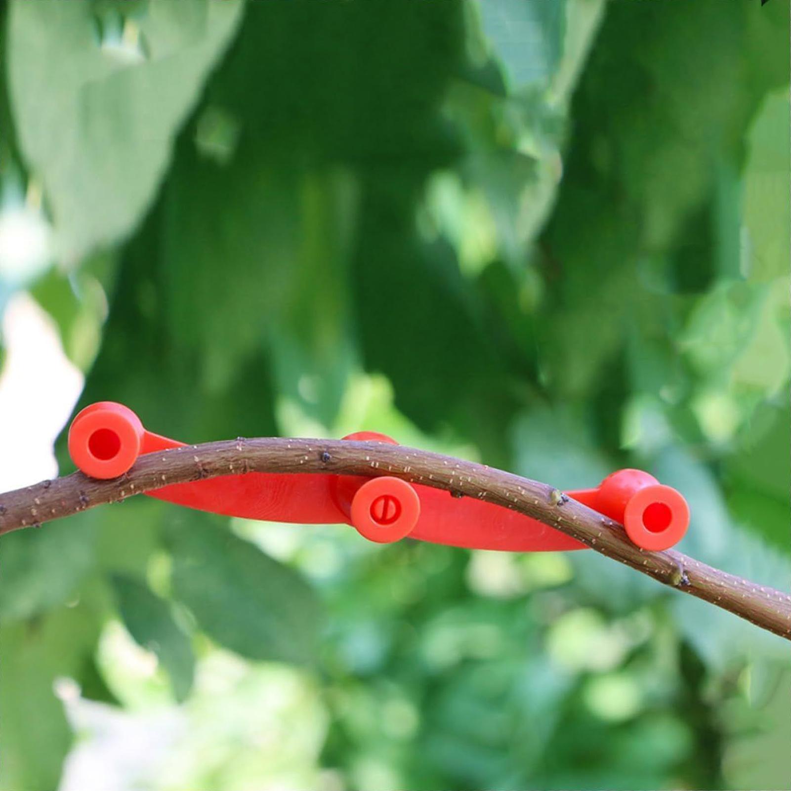 10 Stück Pflanzen-Trainingscli – Gardening Tools Lowes Bewertung und Preis
