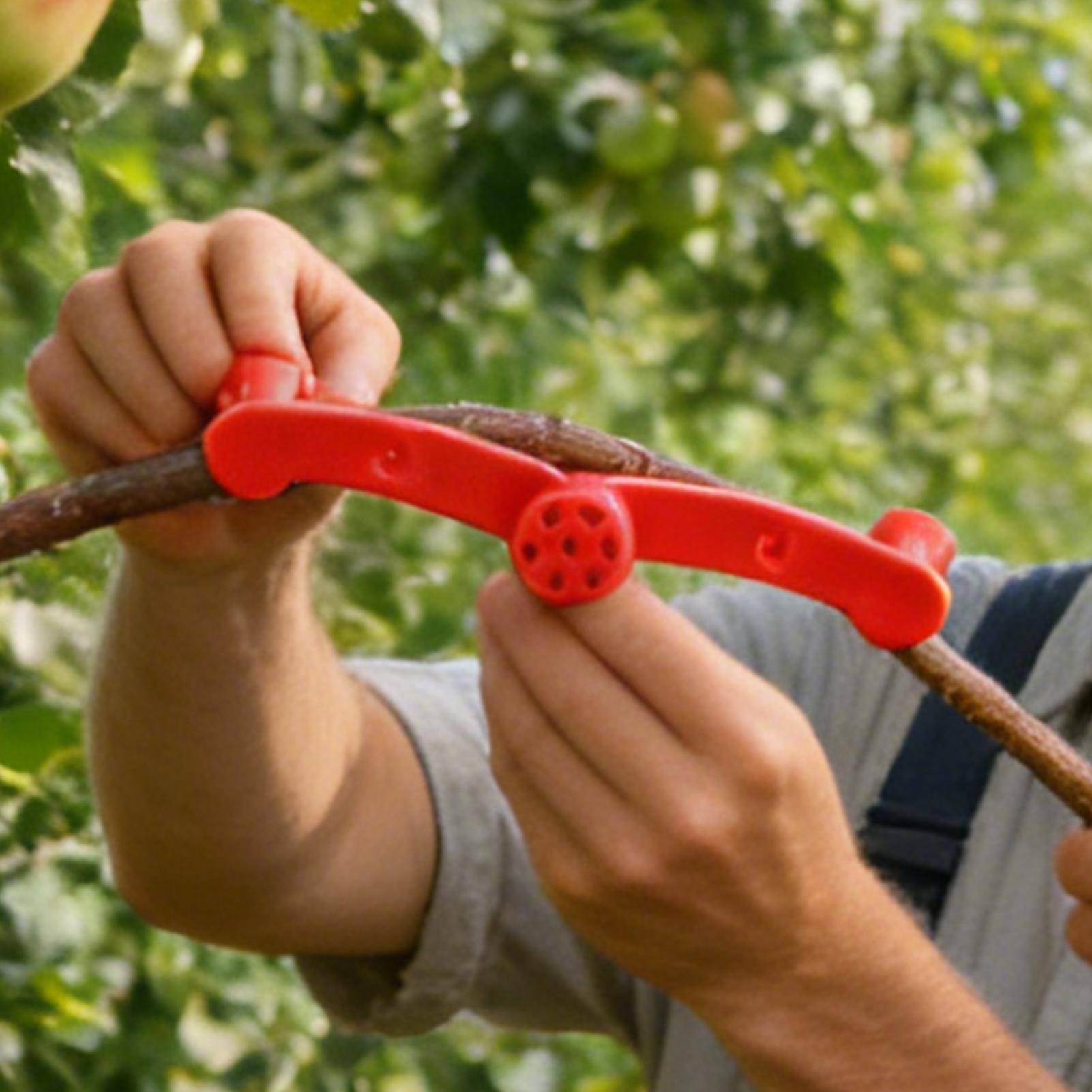 10 Stück Pflanzen-Trainingscli – Gardening Tools Lowes Bewertung und Preis